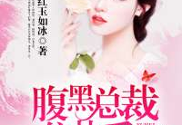 罪妻来袭总裁很偏执全文免费阅读,总裁的偏执救赎之路