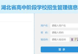 中国教育网中考成绩查询,揭秘中国教育网成绩查询攻略