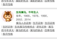 生肖查询,探寻十二生肖背后的文化内涵与命运奥秘