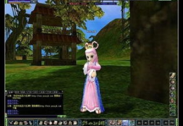 热血江湖 私服,热血江湖私服深度解析