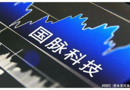 国脉科技,赋能数字经济，引领智慧未来