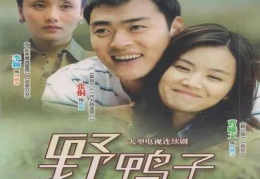 电视剧野鸭子全集在线观看,亲情纠葛与自我成长的感人故事