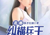 杀手兵王花都纵横,铁血柔情，都市传奇