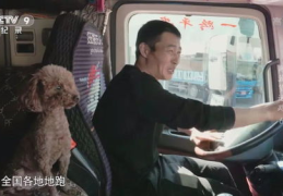 老陈货车司机和李青全文免费阅读,坚韧人生路，青藏线上的奋斗传奇