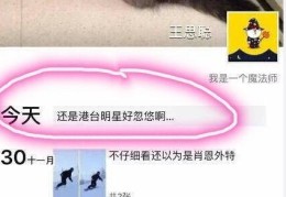 石家庄柯棣华医学院-佛大网红选美冠军负债不还