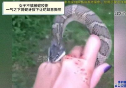 女人梦到被蛇咬,女人梦到被蛇咬的深层寓意与心理解析