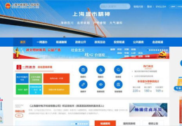 上海市网站建设,打造现代化城市信息窗口