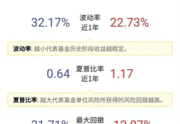华夏全球基金,稳健增长，多元化投资的全球视角