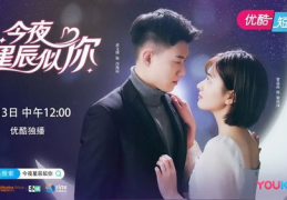 今夜星辰似你免费阅读,今夜星辰似你免费阅读情感之旅