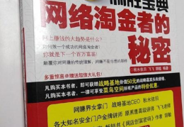 网上赚钱制胜宝典,网上赚钱制胜策略全解析