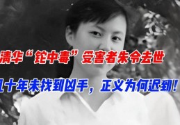隆基绿能得到适用新型专利授权：“一种太阳能电池片和太阳能电池组件” ，隆基绿能新增担保1061亿局部被担保对象产业欠债率超70%-【武林】搓麻绳太极形意八卦咏春通背等都有